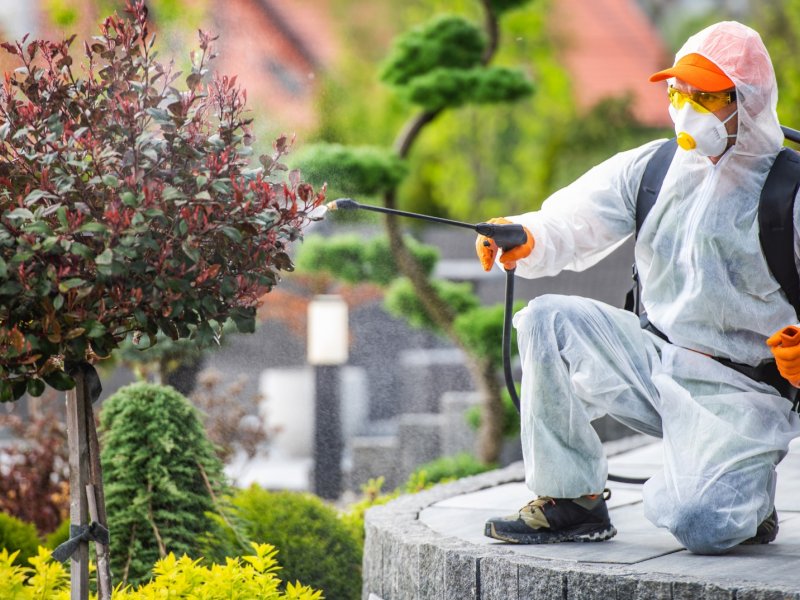 Gemlik Haşere İlaçlama