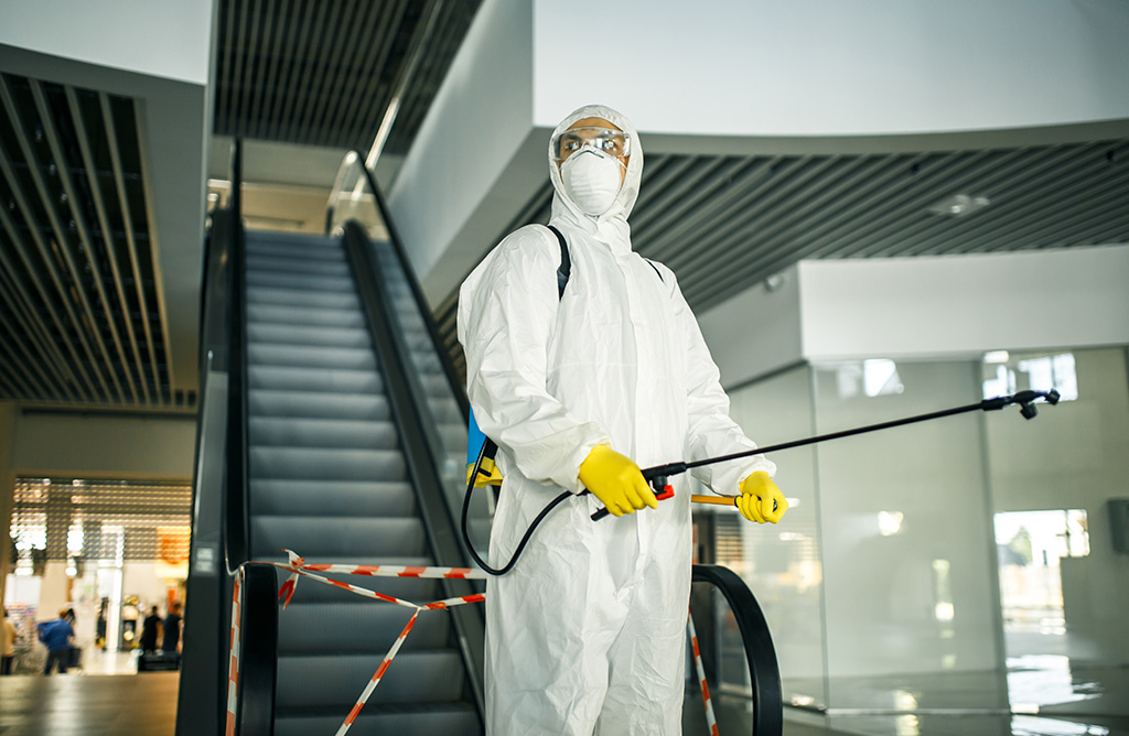 Gemlik Haşere İlaçlama